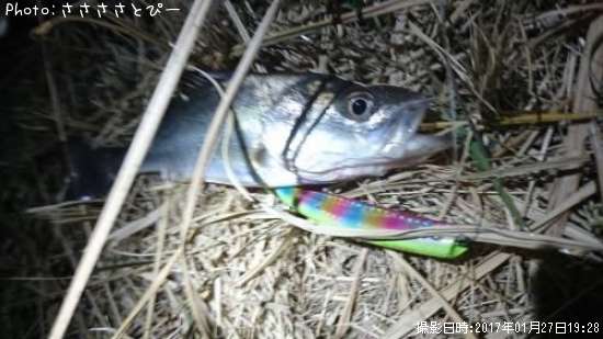 �������Х�