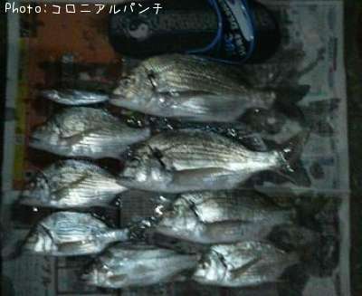 ���󡢥��������ȥҥ�