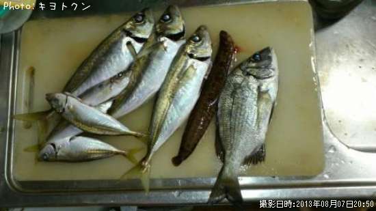 �������󥿡������