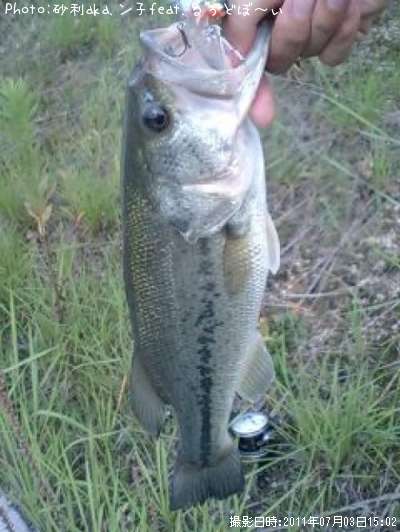 æ�Ϸϥ��祤���륢�������̤ã��