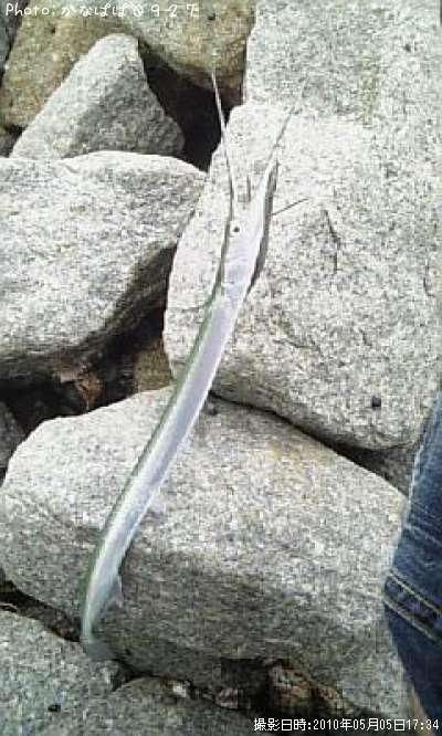 ��������