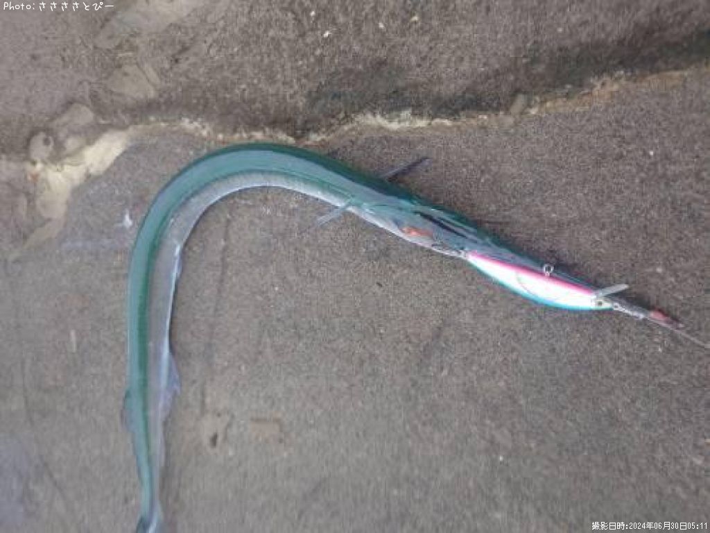 ���ġ���������