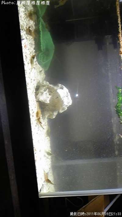 ���Ӥ����ʥ������ӡ���