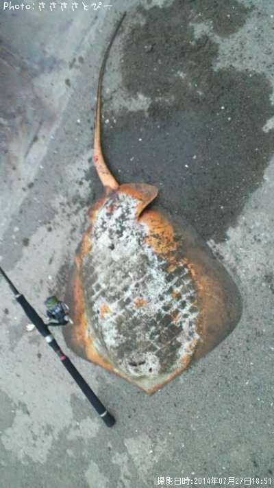 �����ꥢ��