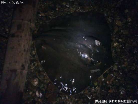 �����ꥢ��