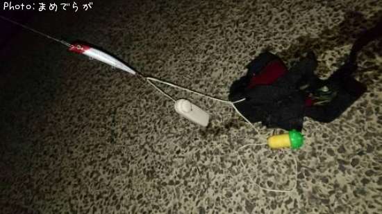 ���쥯�ȥꥫ��ѥ졼�ɡ���