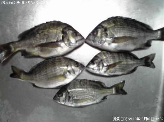 �����ȥꥯ������