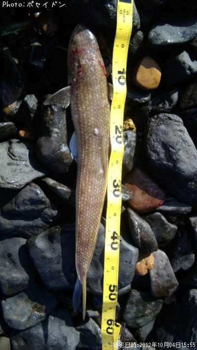 ������������