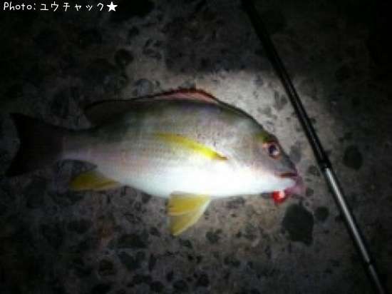 �ե��ե�������