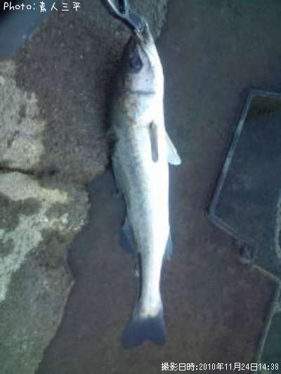 �եå��������Х�