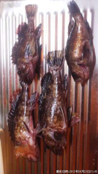 �����顡��Х�