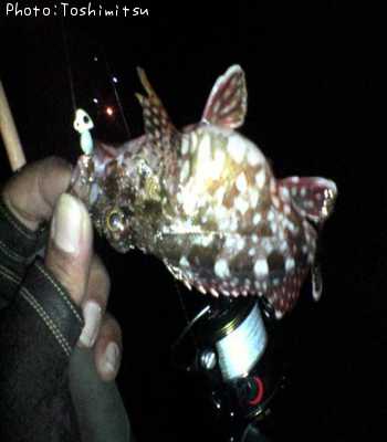 �����顡��Х�