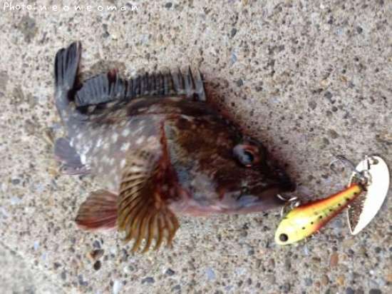 ���å���