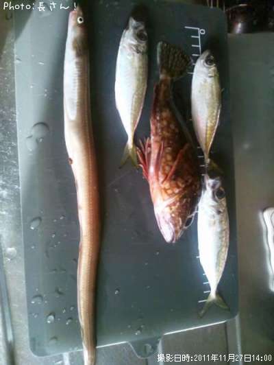 ���å���