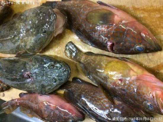 �����ϥ����ޥ���