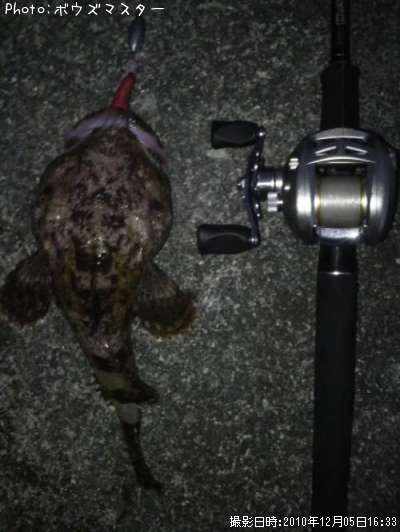 �������������羭��