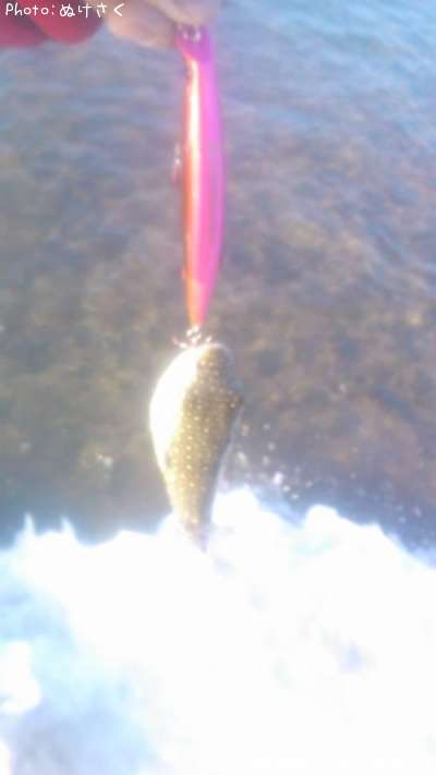 �����ա�