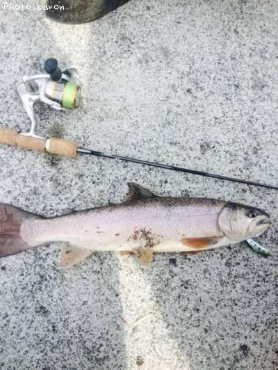 �ϥ��֥�å�