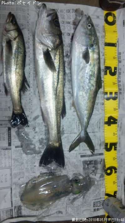 �ϥޥ��������Х��������ꥤ��