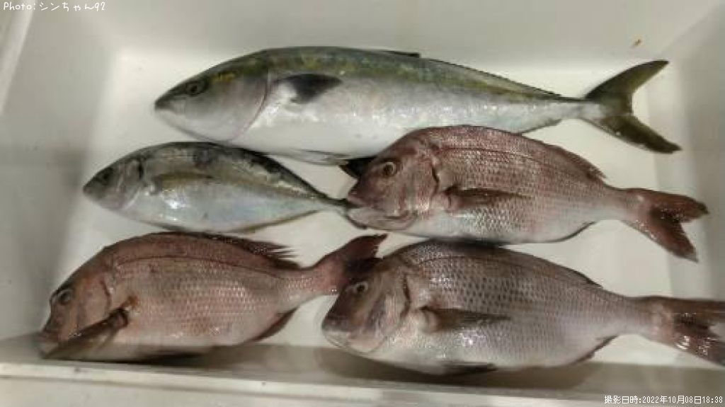 �ϥޥ������ޥ�������