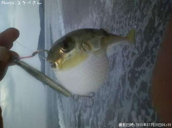 �ϥꥻ��ܥ󡩡�