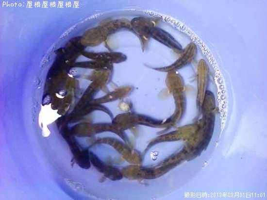 �ϥ���������