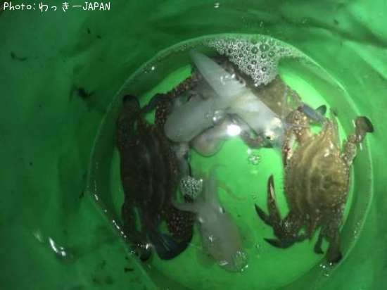 �ҥ��������󥵥��������ߥߥ������勵�ꥬ��