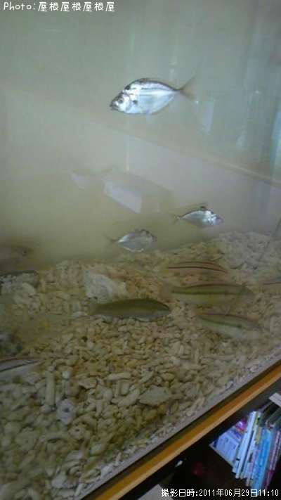 �ҥ��饮���ϥ�������