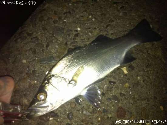 �ҥ�եå�����������Х롢��������