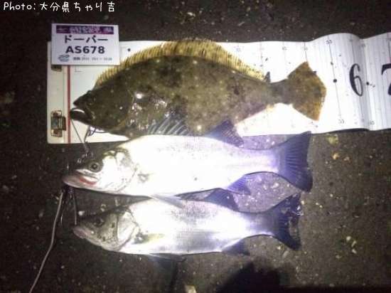 �ҥ������ӥҥ�