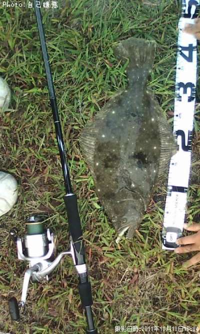 �ҥ��ʡ��̡��̡˥���