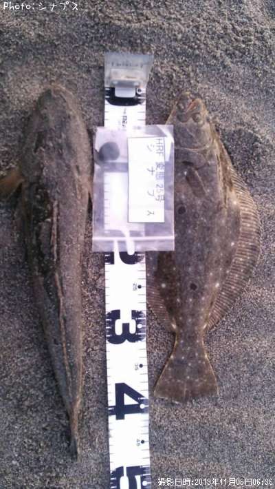 �ҥ����ޥ���