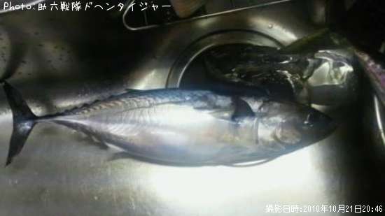 �ҥ饽����