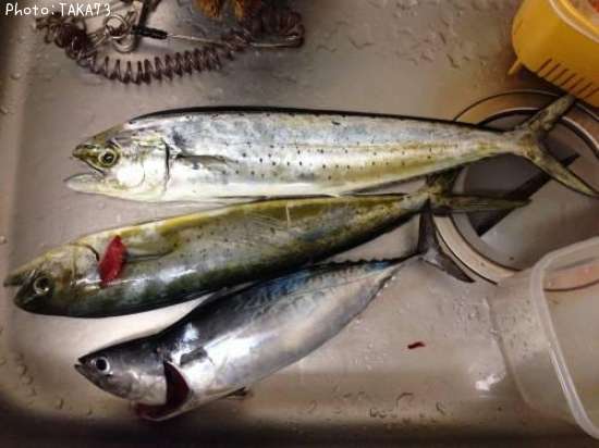 �ҥ饽����