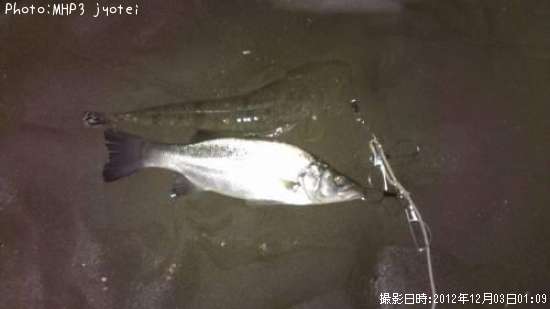 �ҥ饹�������ޥ���