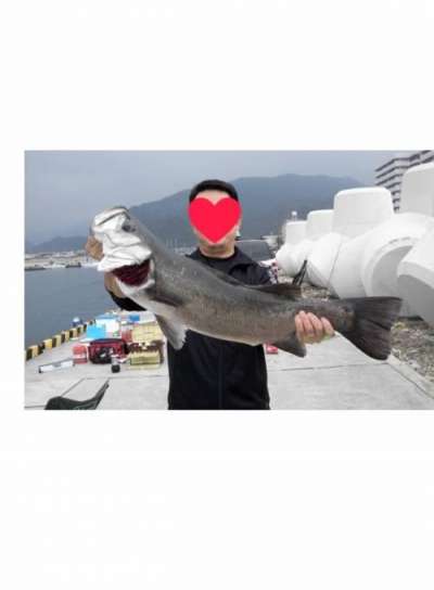 �ҥ饺����