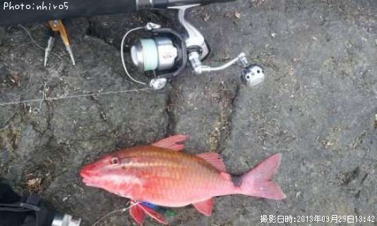 �֤�����