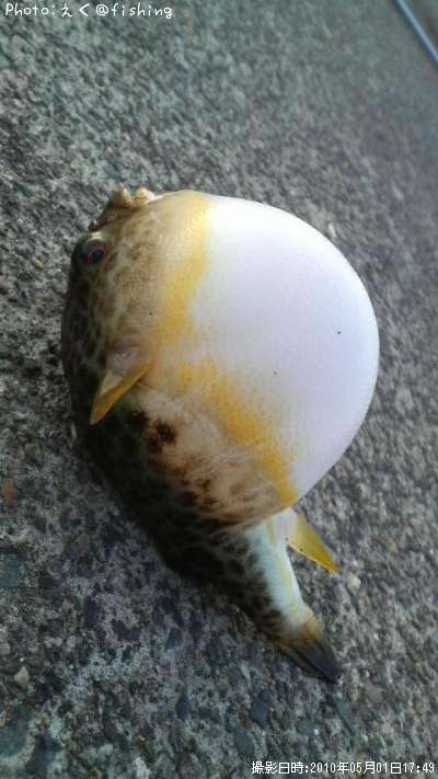 �հ��ܥ����ܥե�