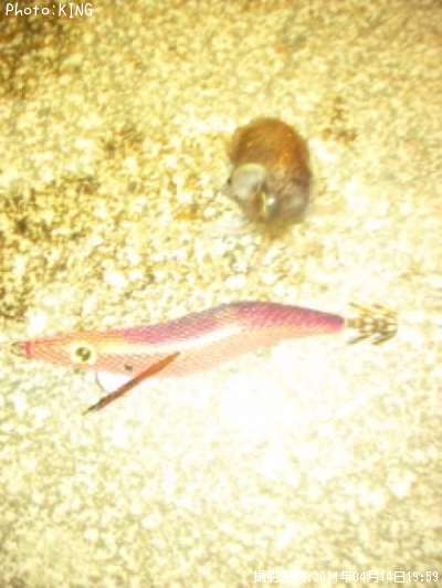 ������������