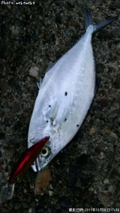 �������ĥ�