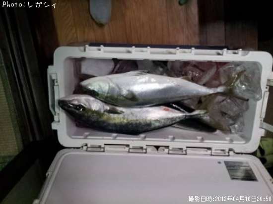 ���ʥ�饵