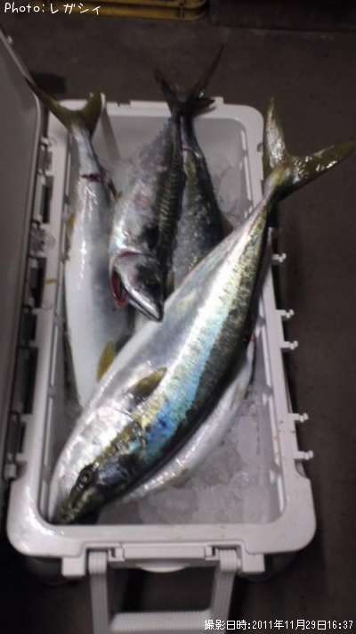 ���ʥ�饵����