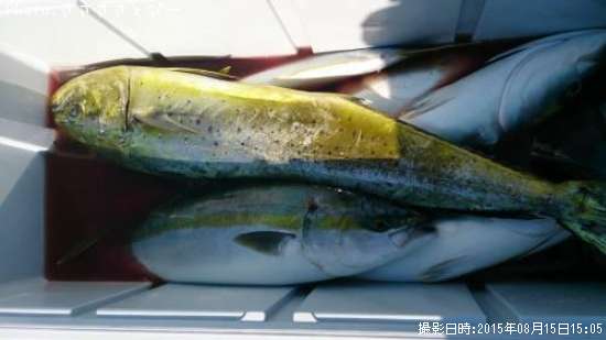 ���ʥ�������������С�����