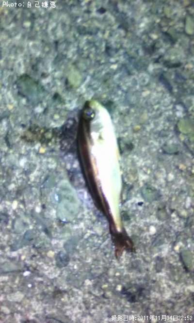 �������û�