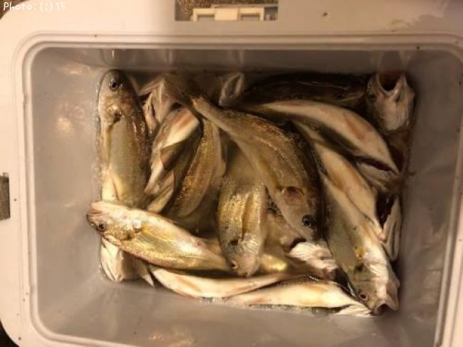 �������������