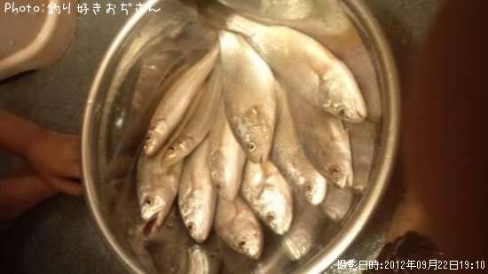 �������������