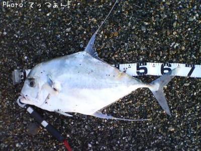 ���ȥҥ�����