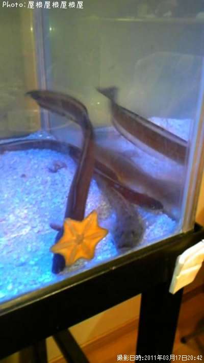 ���Ĥ�Υ��ʥ������