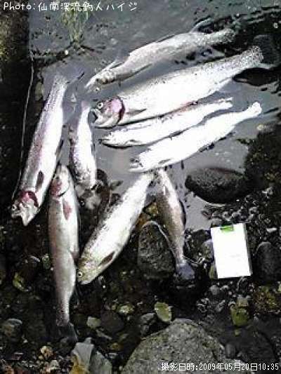 ����������ʡ�����ޥ�