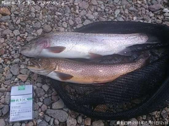 ���㥬����